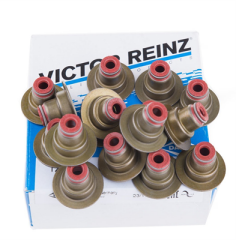 Opel İnsignia 1.6 Subap Lastiği Takım Victor Reinz